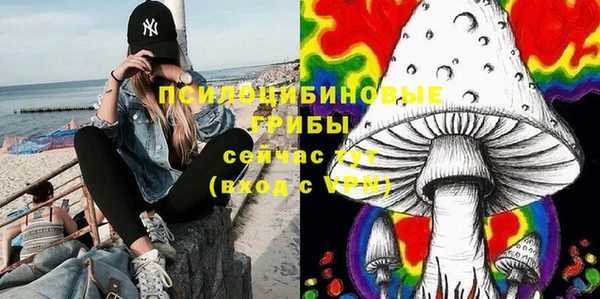 прущий лед Касимов