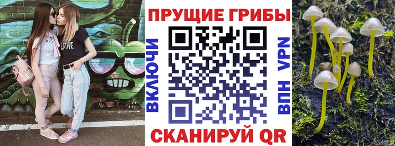Псилоцибиновые грибы MAGIC MUSHROOMS  Купить закладки  Бологое 